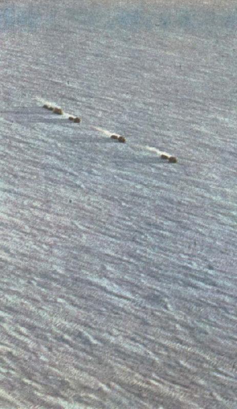  fuchs karavan av snovesslor startar mot sydpolen fran shackletonlagret vid weddellhavet
